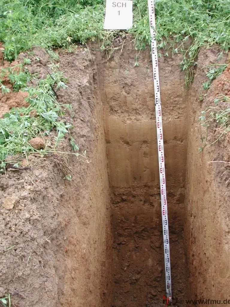 Exploratory Test Pits for Site Investigation in Hastings
